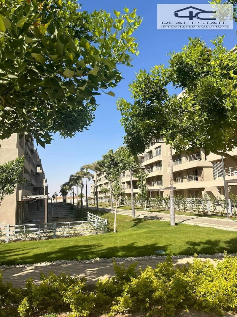 4 59cdbeb9-615a-47b8-9f33-6097b0074b17. jpeg