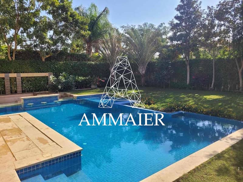 13 ba314ee1-b10a-479f-bb38-b3d954683ffb. jpg