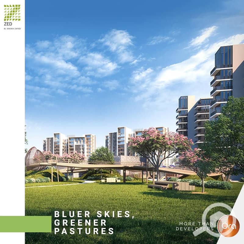 2 IMG-20190308-WA0003. jpg