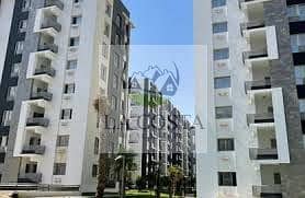 11 download (4). jpg