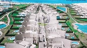 11 download (10). jpg