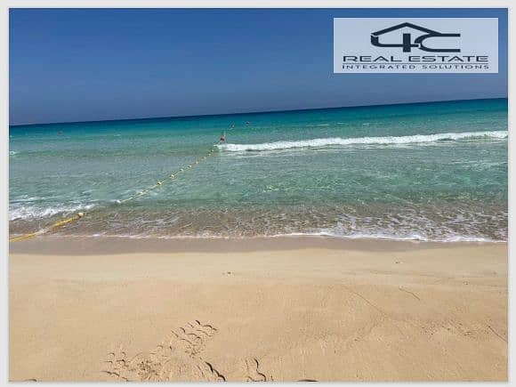 18 Screenshot (367). png