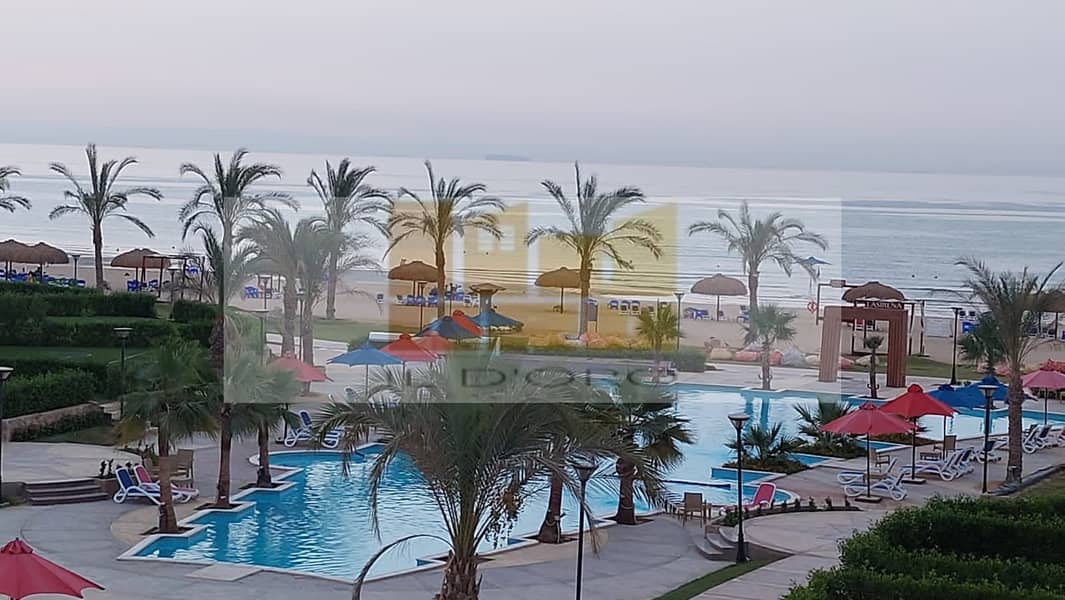 3 WhatsApp Image 2026-01-19 at 5.07. 30 PM (3). jpeg