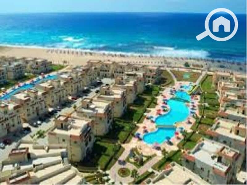 5 431474471_257844434052938_2878443920893199842_n. jpg