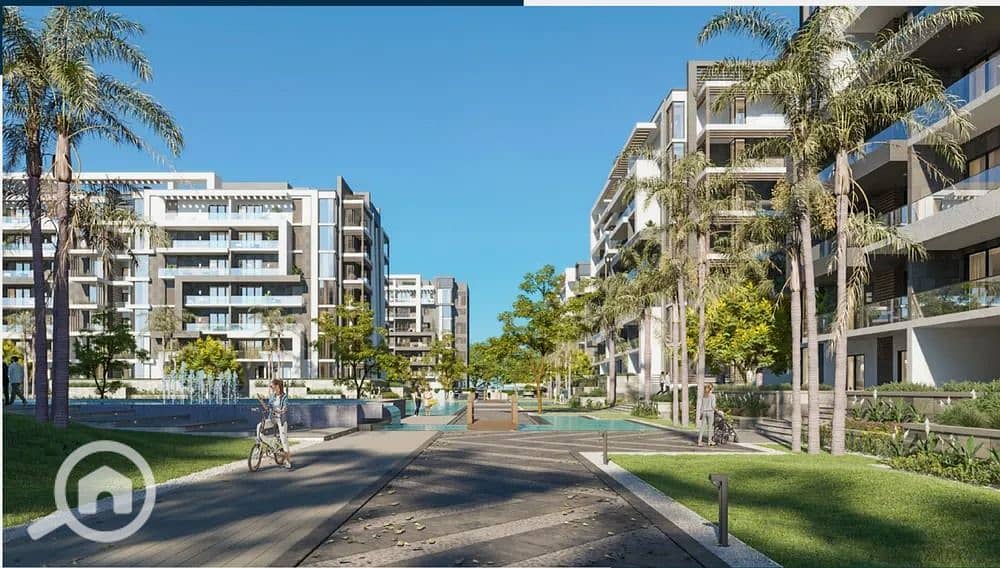 5 imgi_20_high. jpeg