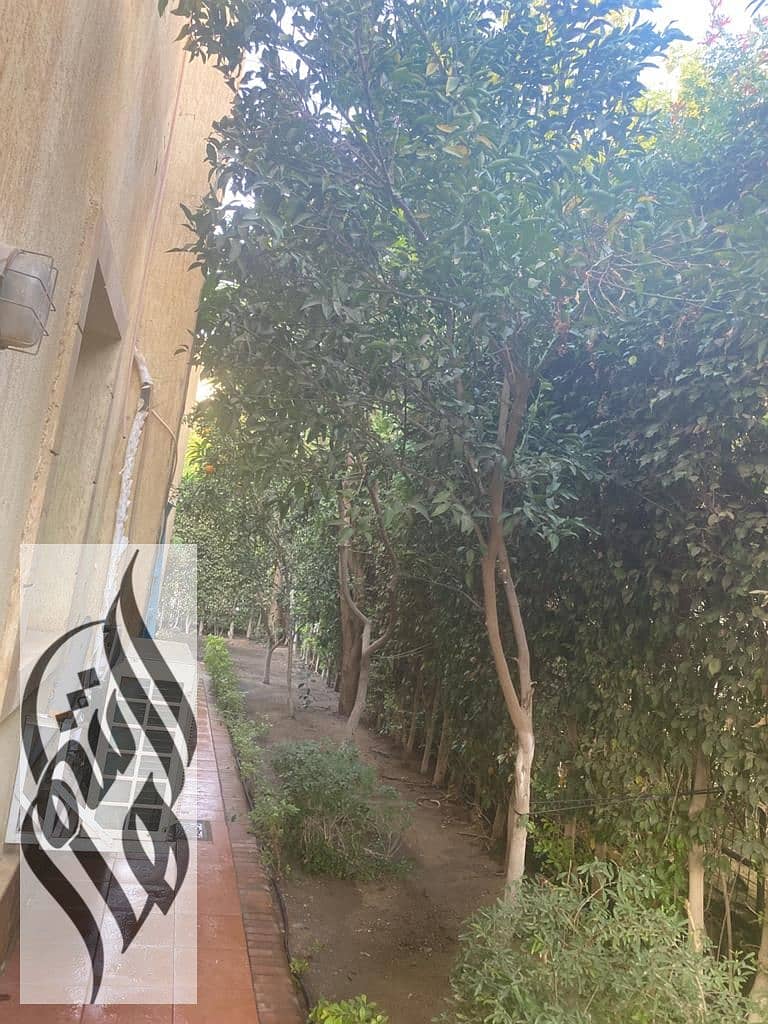 8 WhatsApp Image 2026-01-16 at 10.53. 40 PM (12). jpeg