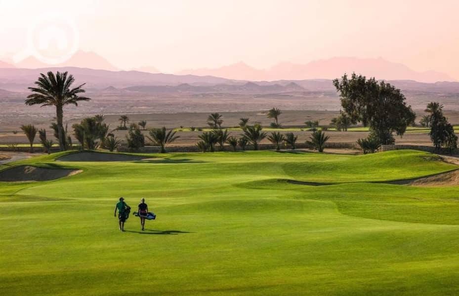 23 WhatsApp Image 2025-09-29 at 3.32. 04 PM (1). jpeg