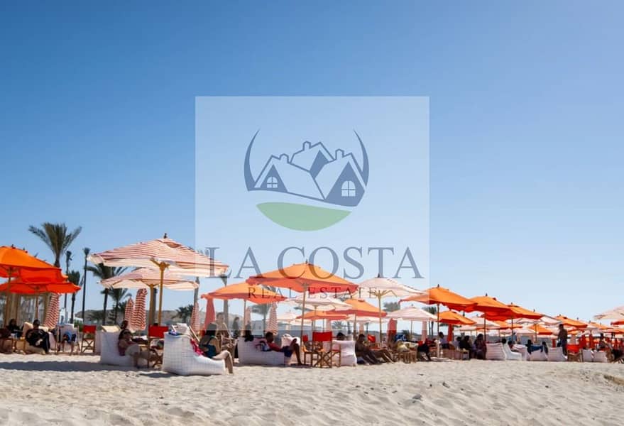 3 3005d1b3-5551-46f8-bb4b-d281c4209aae. jpg