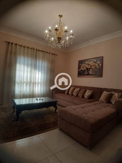 استوديو  للايجار في القاهرة الجديدة، القاهرة - WhatsApp Image 2026-01-18 at 11.41. 14 AM. jpeg