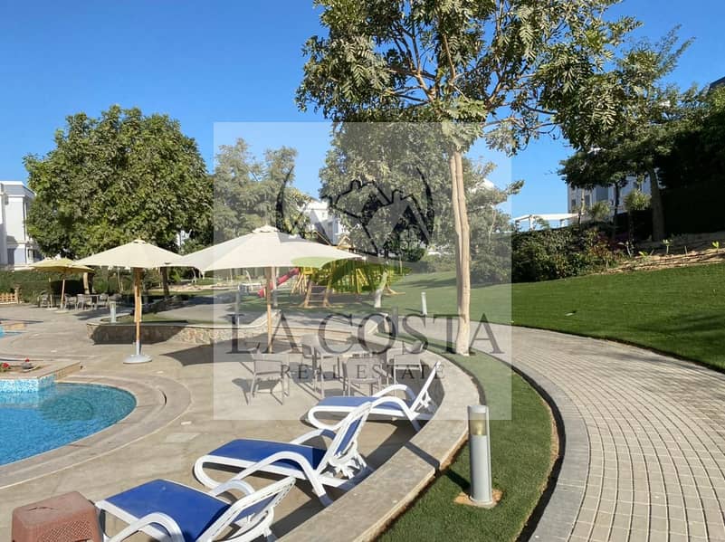 7 bbfcc670-7d85-4985-a62e-4a857ed9ef19. jpg