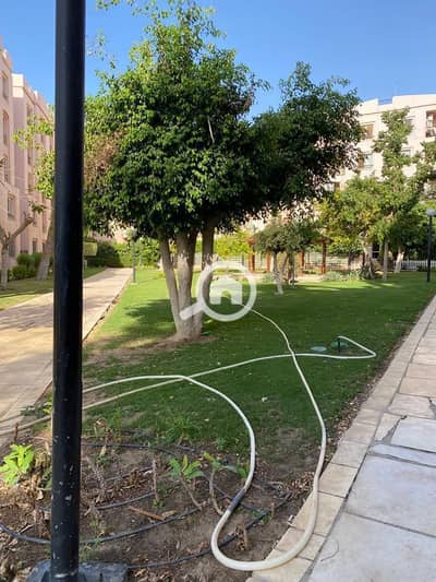 3 Bedroom Flat for Sale in New Cairo, Cairo - WhatsApp Image 2026-01-13 at 1.14. 51 PM (2). jpeg