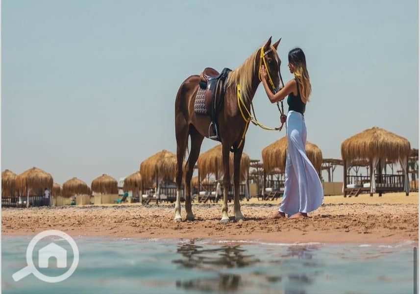 3 WhatsApp Image 2024-05-01 at 16.22. 08_e860a087. jpg