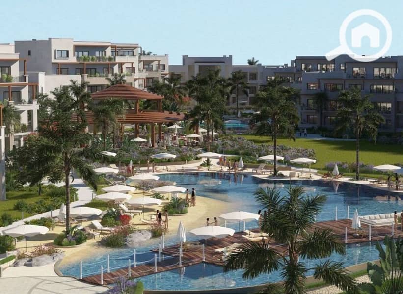 12 WhatsApp Image 2024-11-06 at 13.57. 33_f7d8c502. jpg