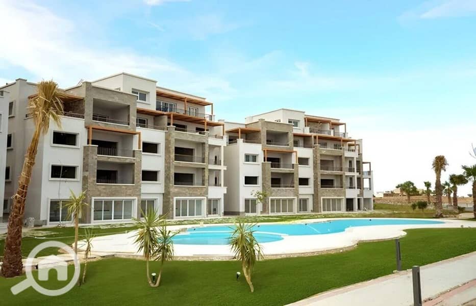 12 photo_2024-02-25_13-26-55. jpg