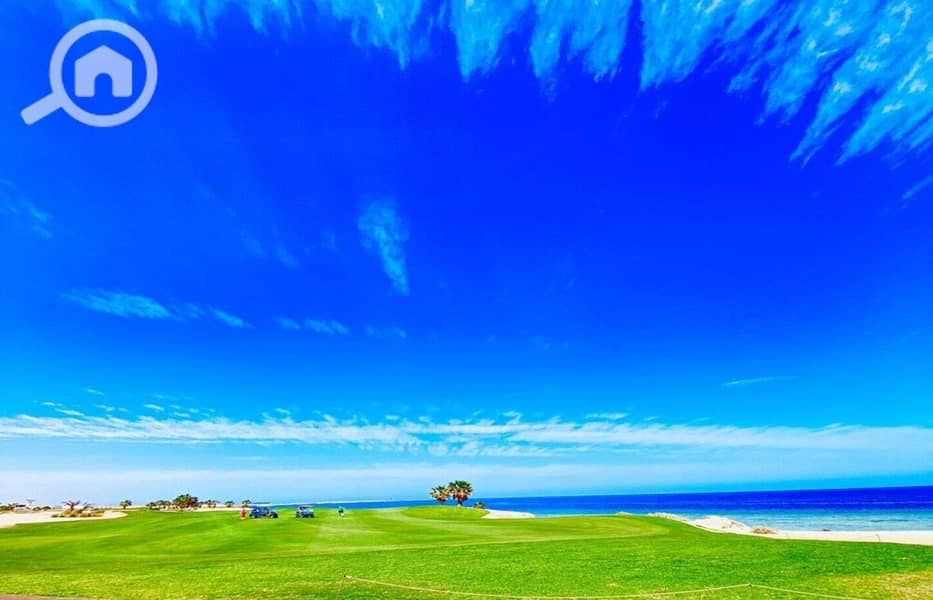 15 photo_2024-03-04_13-40-02. jpg