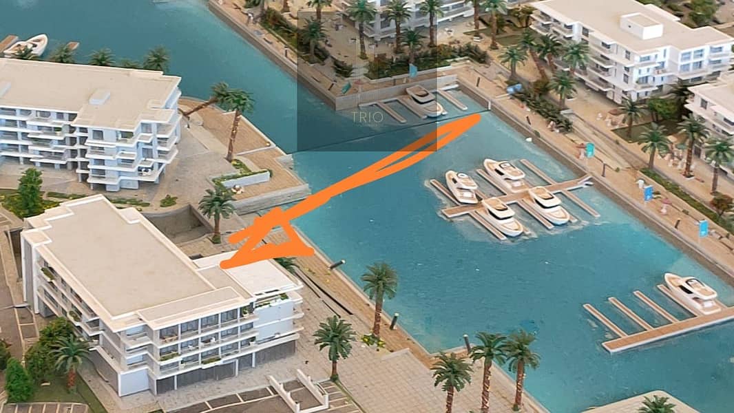 10 PHOTO-2026-01-07-11-23-47. jpg