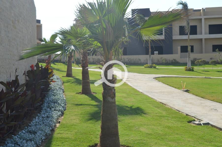 5 WhatsApp Image 2024-05-18 at 12.00. 29 PM. jpeg