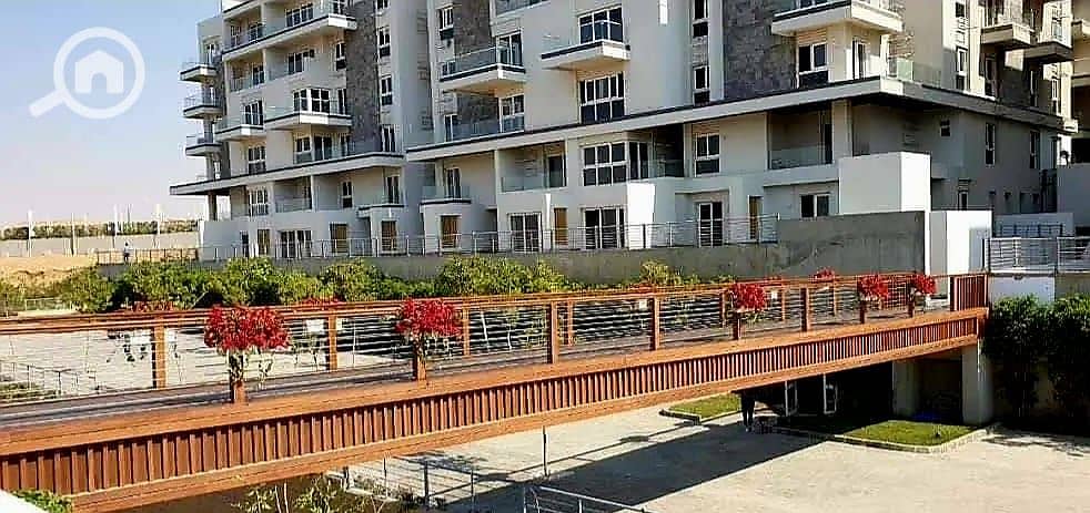 3 473711585_122159017742332435_794636103391330223_n. jpg