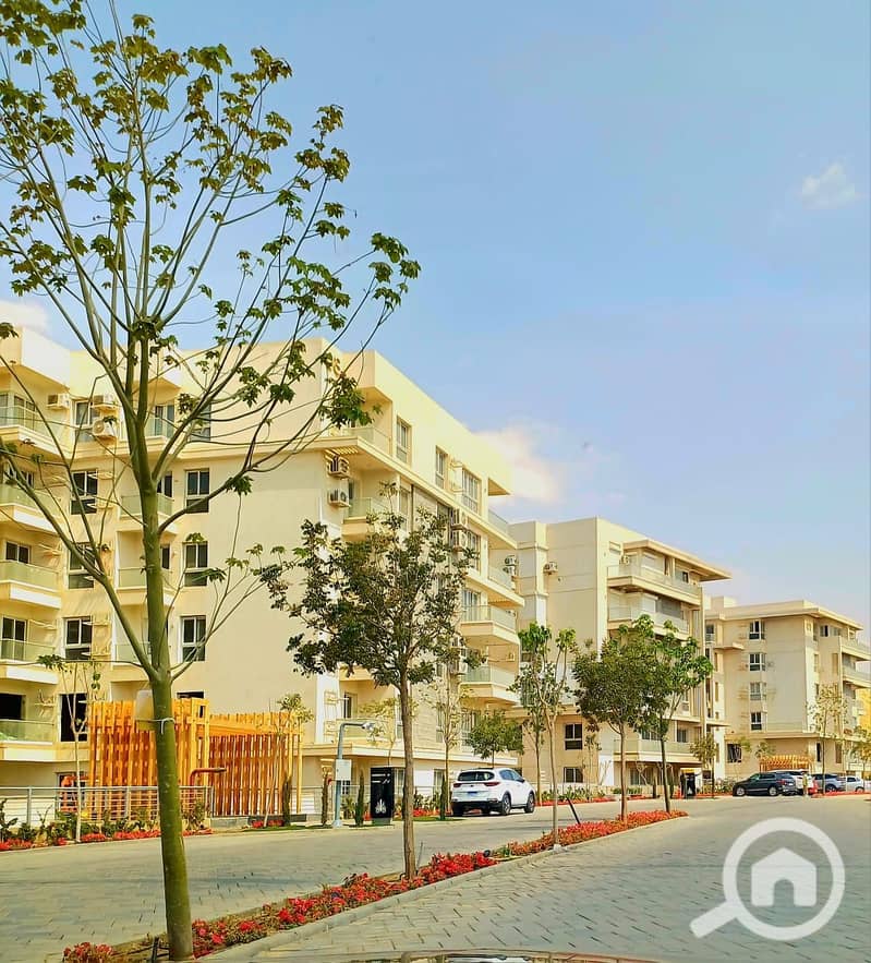 10 WhatsApp Image 2025-04-12 at 5.07. 08 PM. jpeg