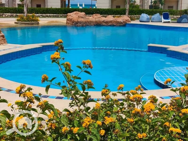 7 WhatsApp Image 2025-08-04 at 6.17. 45 PM (6). jpeg