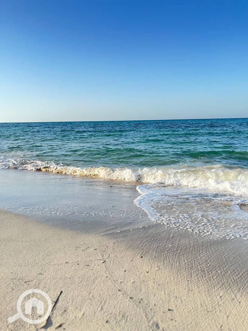 12 WhatsApp Image 2025-08-04 at 6.17. 46 PM (3). jpeg