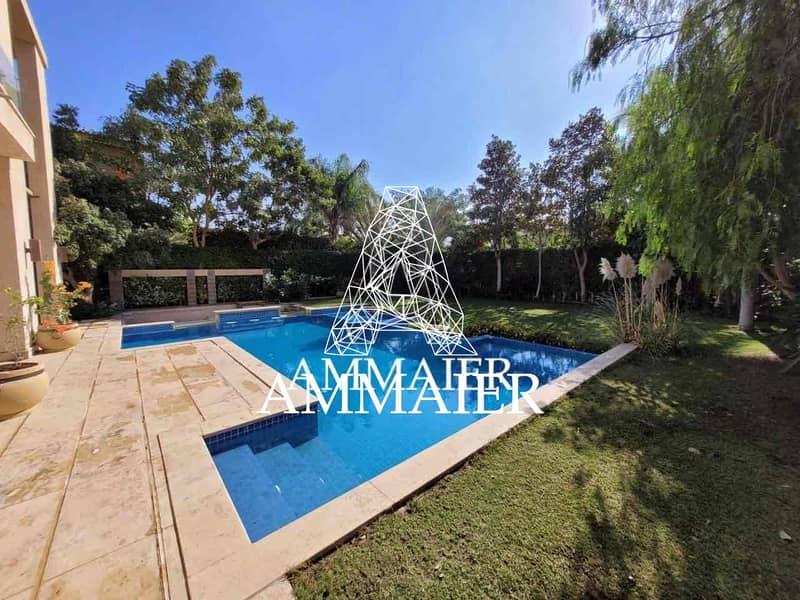 4 d6461963-6309-4f82-a2a5-b3aa040187be. jpg