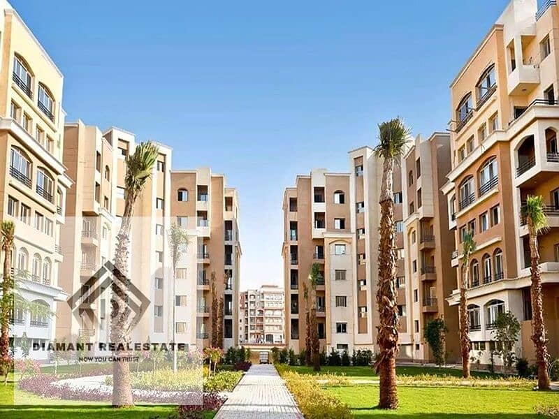 15 319320043_173962835253597_8412532978231205339_n. jpg