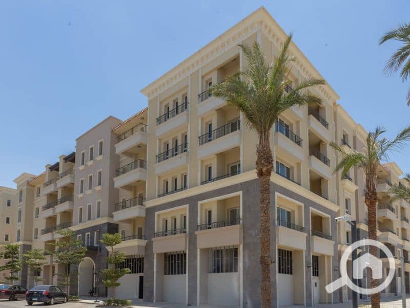 10 Untitled design (41). png