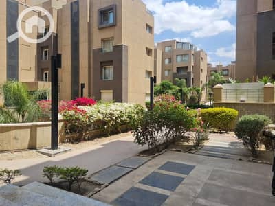 1 Bedroom Flat for Rent in New Cairo, Cairo - WhatsApp Image 2025-05-01 at 11.44. 20 AM. jpeg