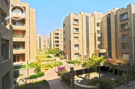 1 Bedroom Flat for Rent in New Cairo, Cairo - dfxyth. jpg