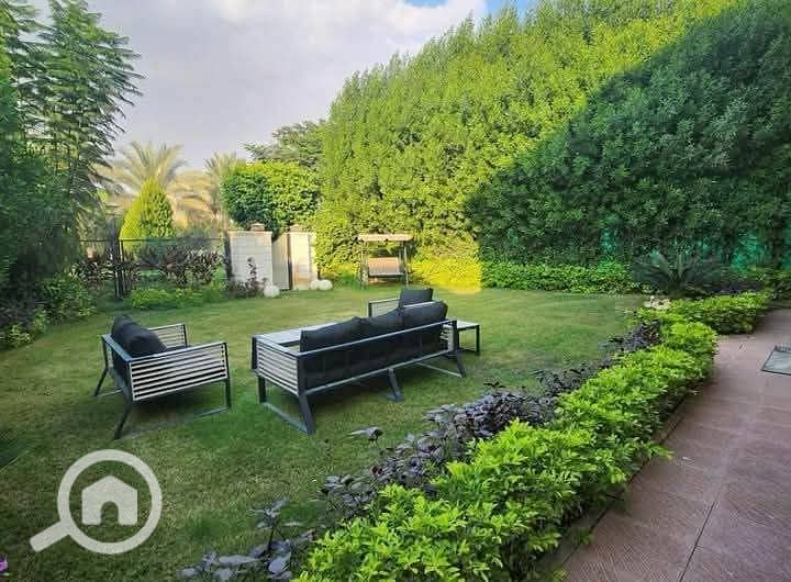 11 FB_IMG_1749371739934. jpg