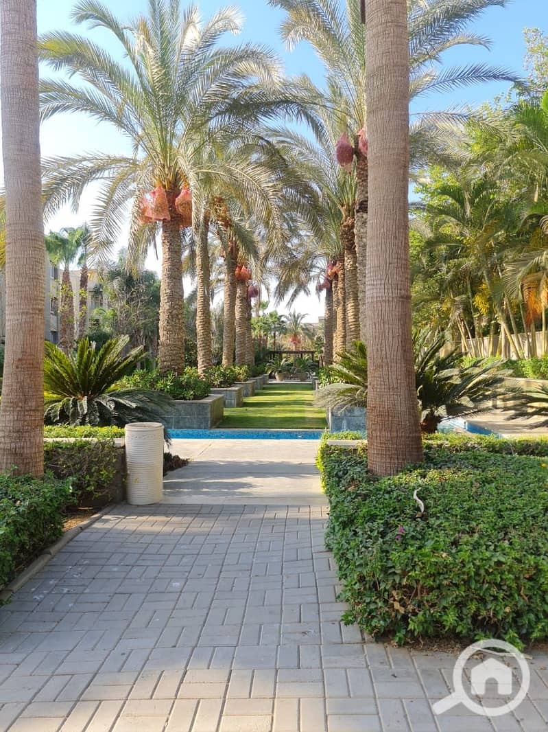 4 WhatsApp Image 2025-08-18 at 10.24. 04 PM (1). jpeg