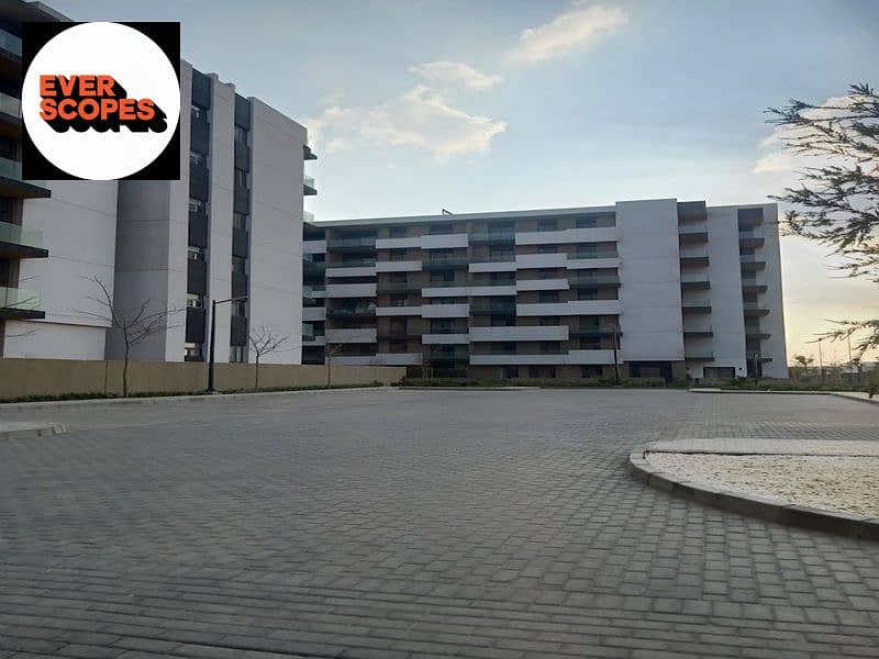 11 2022-03-25 (1). jpg