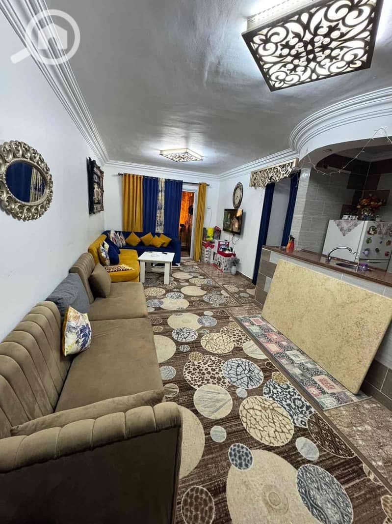 15 9c973ca8-0800-415e-98d1-f28e6f53a44c. jpg