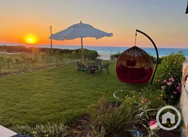 3 FB_IMG_1746646176149. jpg