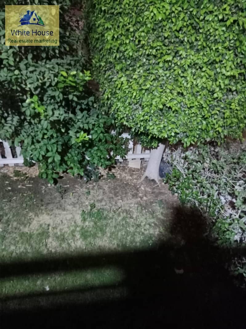 26 WhatsApp Image 2026-01-18 at 4.18. 06 PM (3). jpeg