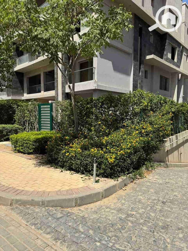 8 IMG_20250905_230234_326. jpg