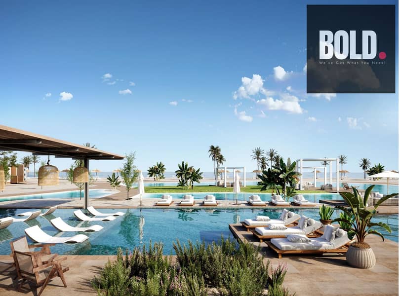 5 Screenshot (265). png