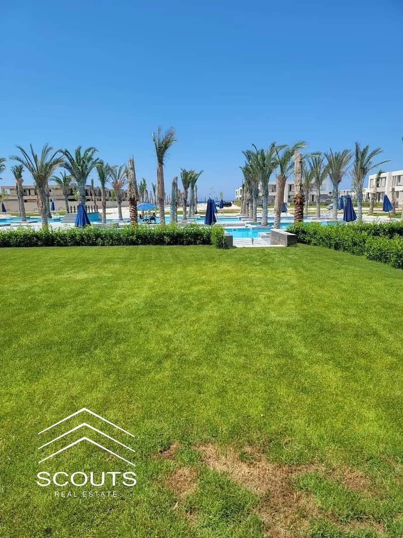 4 FB_IMG_1768831498867. jpg