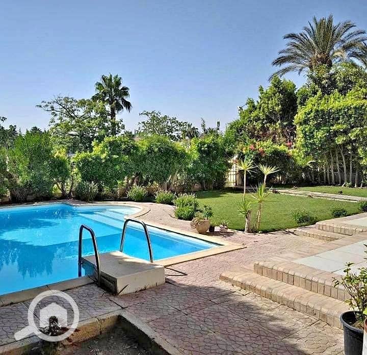 12 605718878_122162609618736962_6978709462414205894_n. jpg