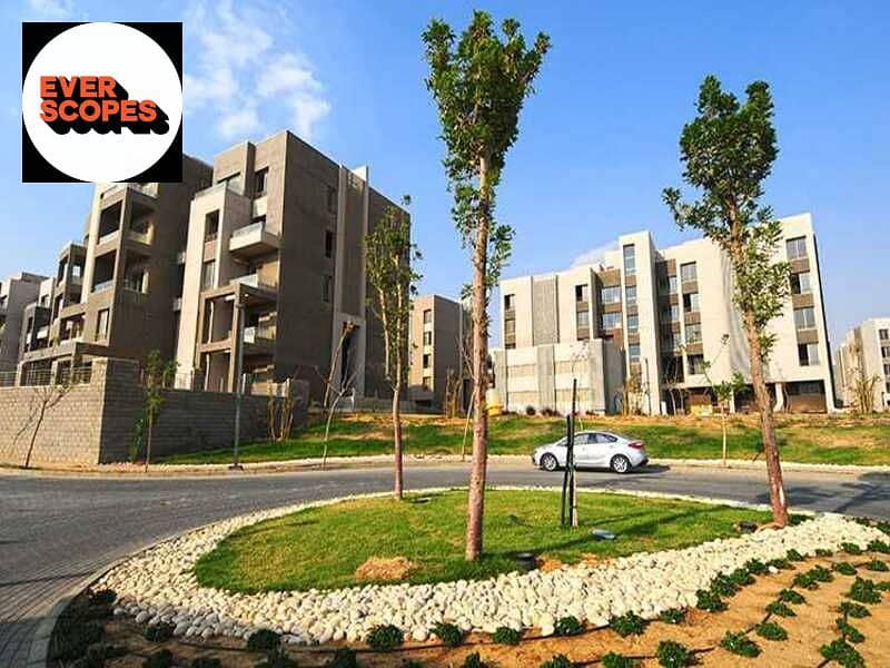 10 1555196318-1. jpg