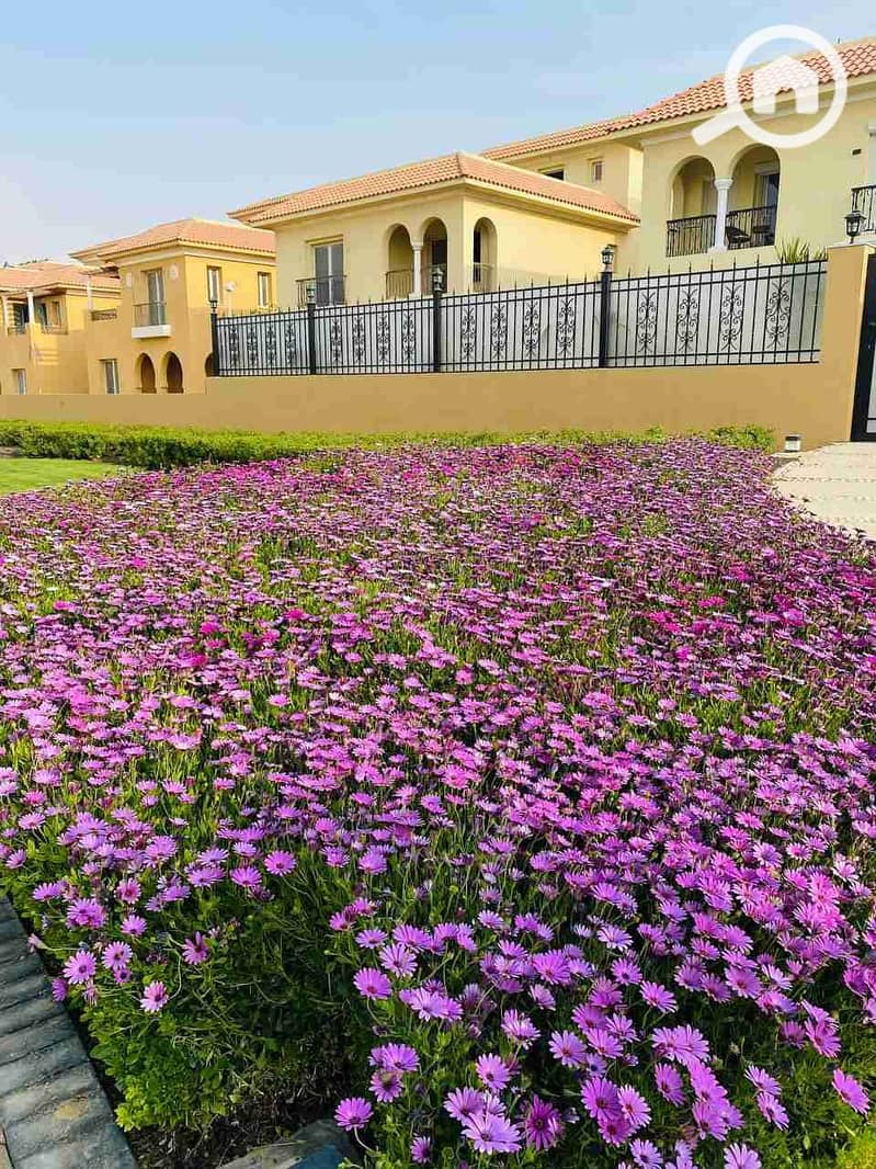 5 IMG_20230326_190108_888. jpg