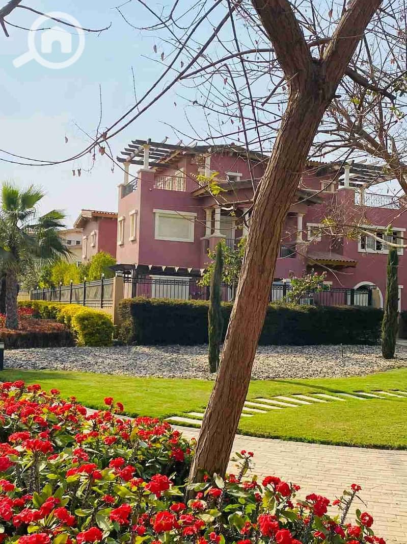 6 IMG_20230326_190048_296. jpg