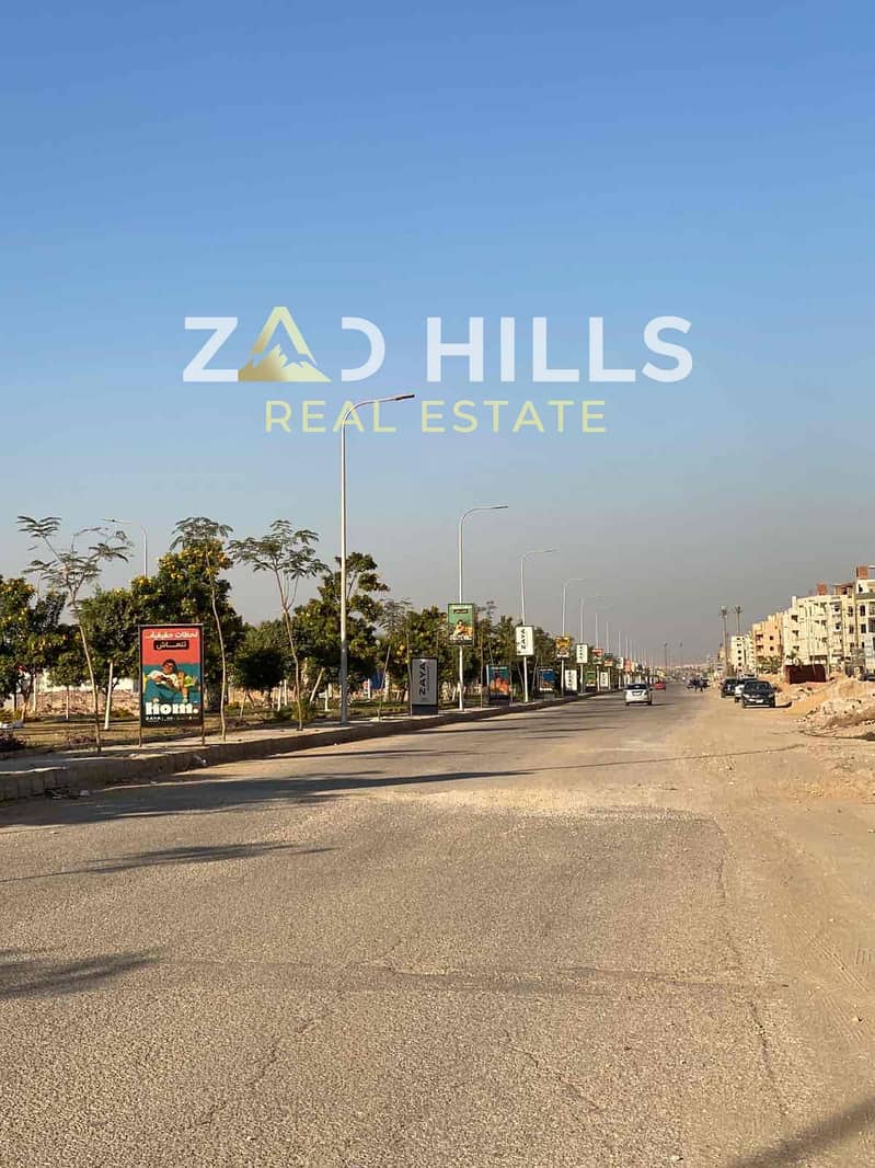 3 50ed7159-b2e8-4172-9938-f4a9989d6621. jpg