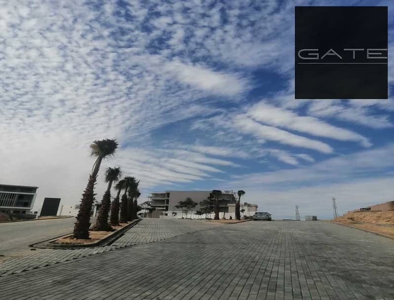 11 dcbe780d-4699-4b76-b24f-29ec479eeeee. jpg