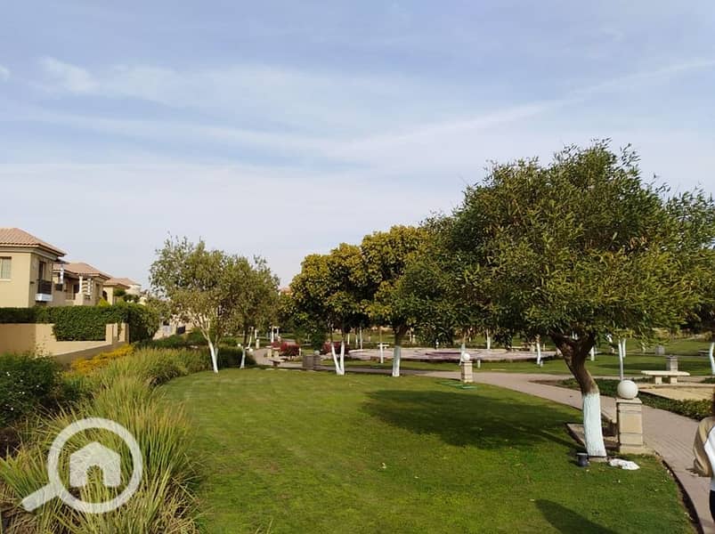 6 64562467_2422661591085815_8458514588516745216_n. jpg