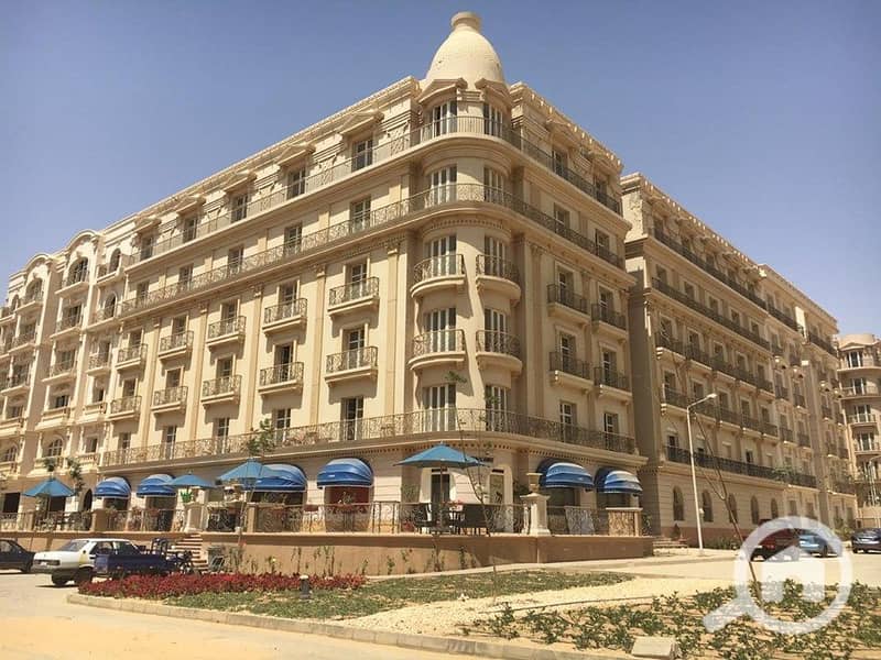 7 65152670_2396273143745319_2355393729080066048_n. jpg