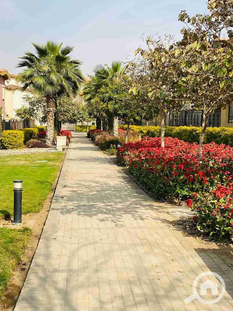 10 IMG_20230326_190047_981. jpg