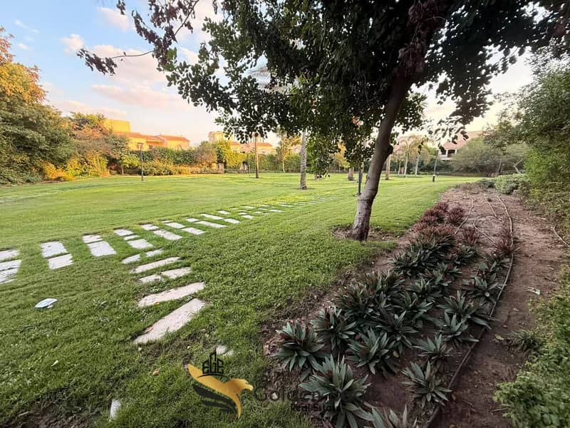 11 618659964_1562211345009392_7139479867913609043_n. jpg