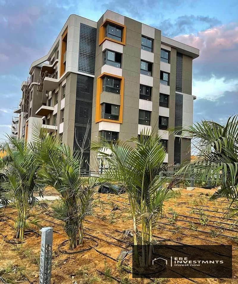 14 616170689_1586104749397338_6607538225290415259_n. jpg